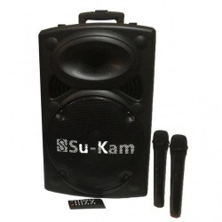 Акустическая портативная колонка BT 120D 100Вт Два микрофона Bluetooth, USB Черный