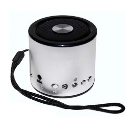 Портативная колонка Wster WS-A8 Серебристый